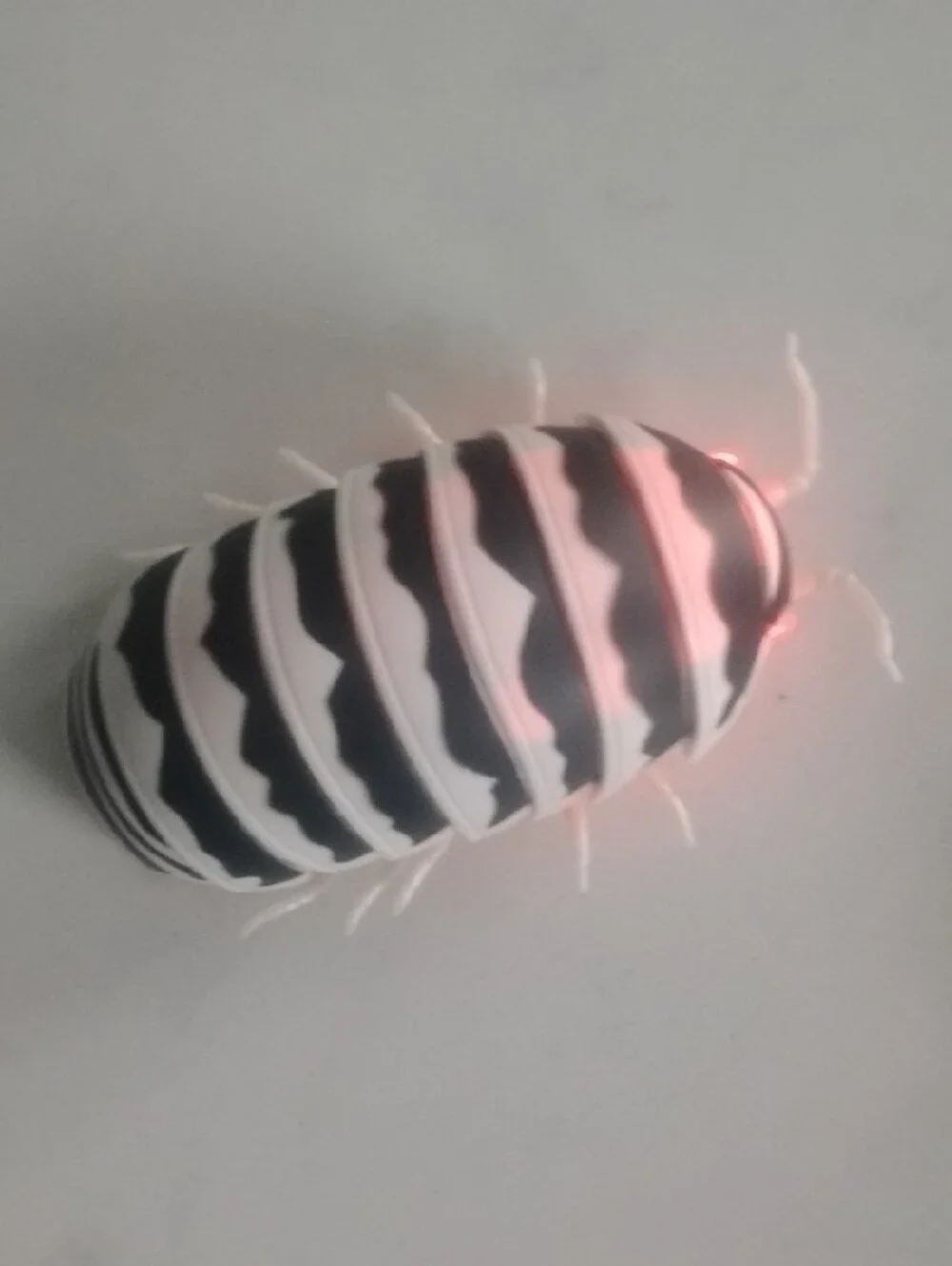 Light-Up Doodlebug Remote Cat Toy by Whisker City — Black & White
